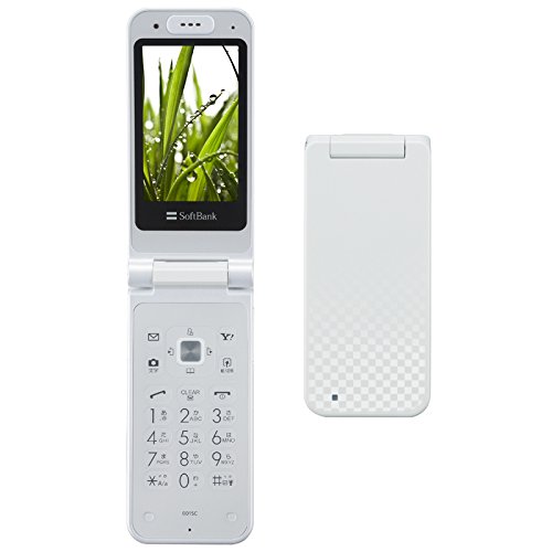 白ロム Softbank(ソフトバンク) 携帯電話 Panasonic 301P COLOR LIFE 4 WATERPROOF SoftBank 白 [White